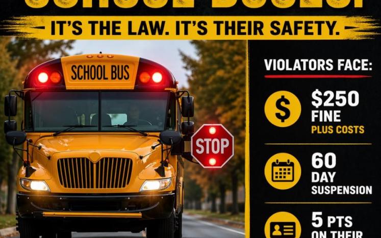 Stop for School Buses it's the Law