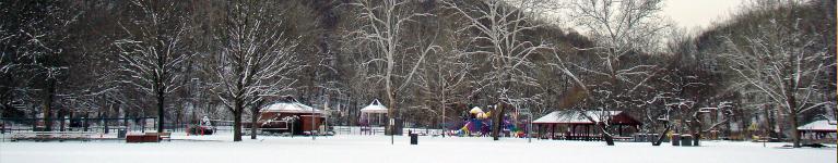 Panorama of woods in snow